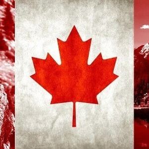 Meet your Posher, Sandy